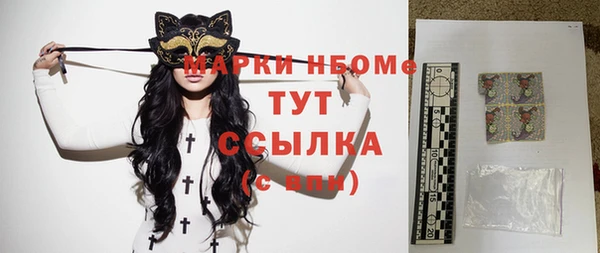хмурый Саки