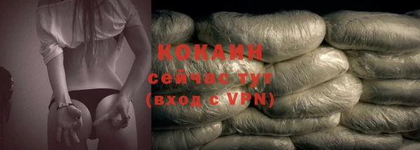 ешки Тавда