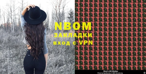 хмурый Саки