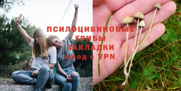 амф Ряжск