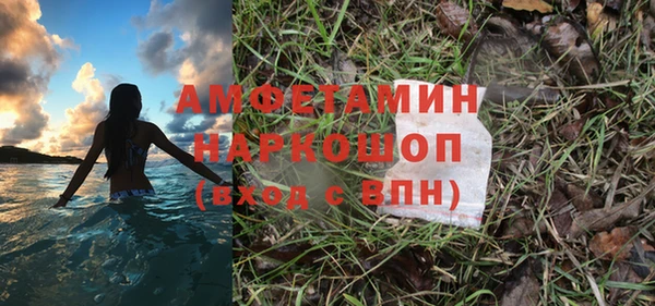 скорость Тайга