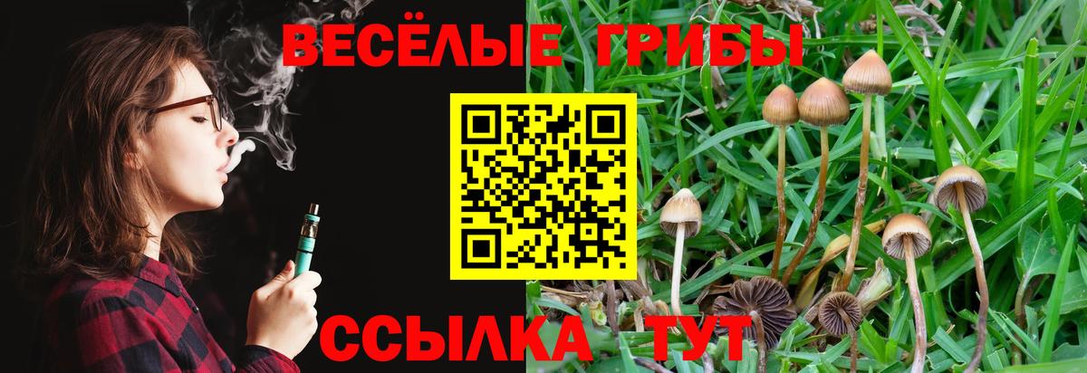 Псилоцибиновые грибы Magic Shrooms  Вход с VPN  Электрогорск  Псилоцибиновые грибы Psilocybine cubensis 