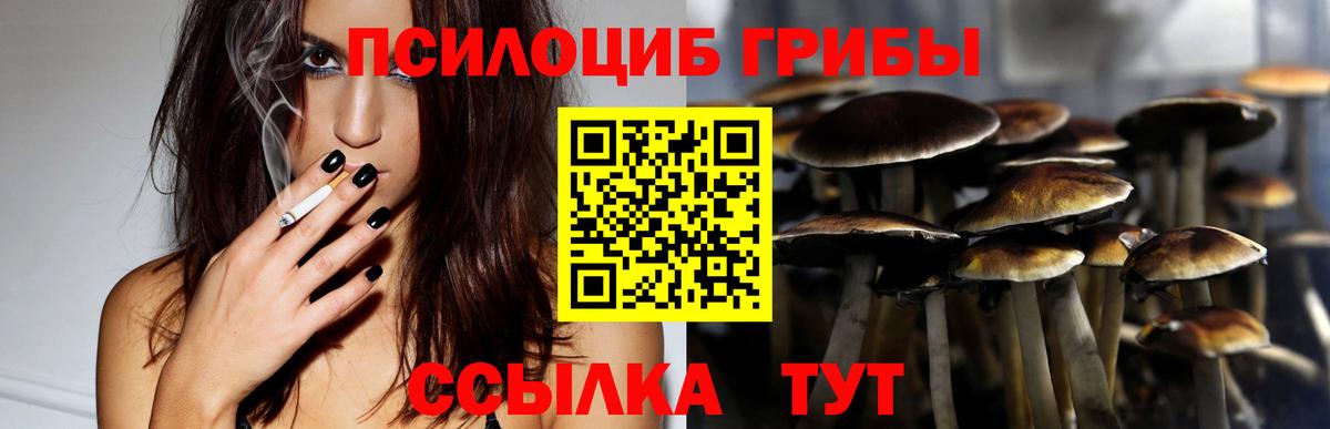 Галлюциногенные грибы мухоморы Электрогорск