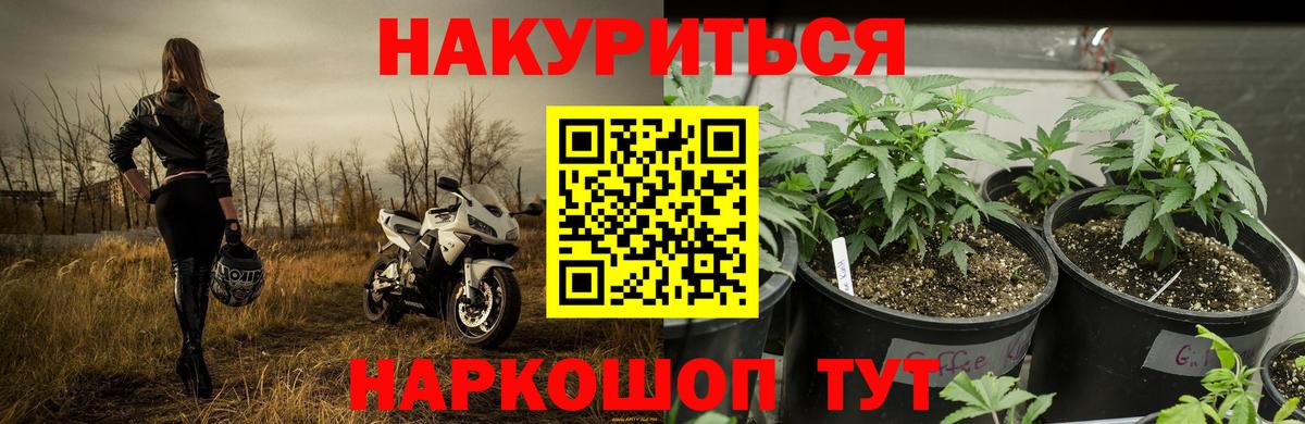 Каннабис планчик  Вход с VPN  Бошки марихуана LSD WEED  Электрогорск  Каннабис тримм  Конопля VHQ 